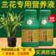 兰菌王兰花专用营养液兰科兰草肥料专用长效肥喷雾君子兰催根生芽