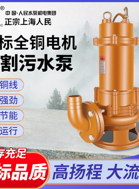 SRSC上海人民切割泵抽粪泥浆排污泵家用220V380V高扬程潜水泵