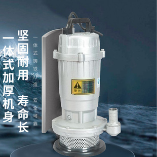 浙江丰源农用潜水泵家用小型抽水220V高扬程大流量灌溉水井抽水泵