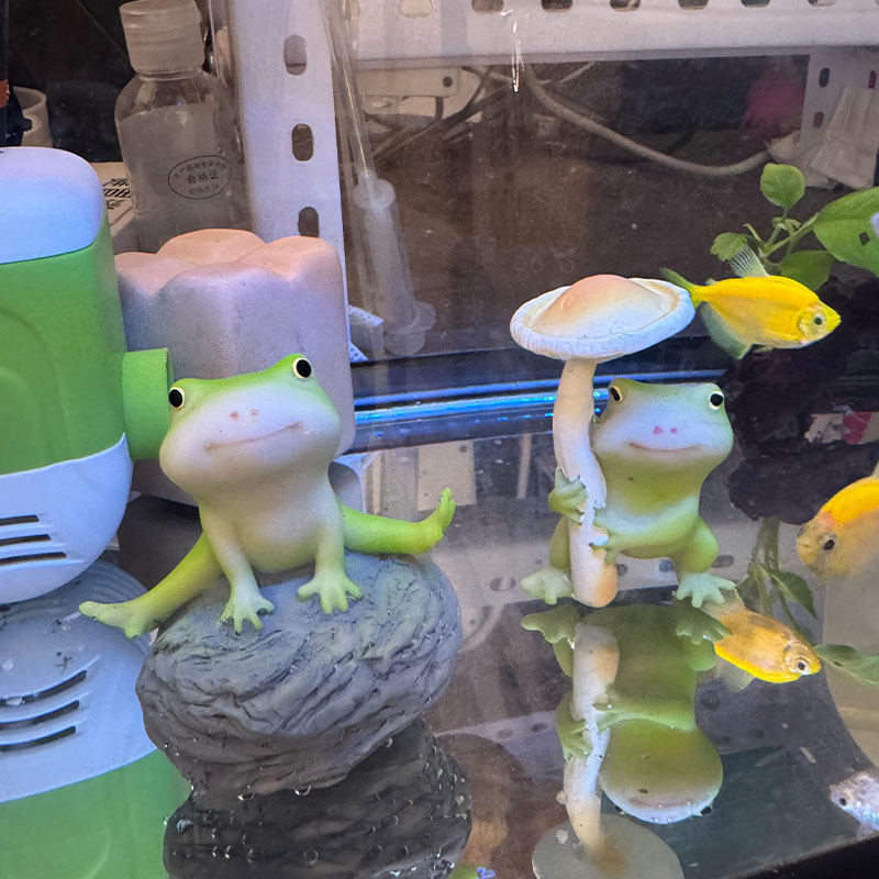 鱼缸青蛙摆件桌面庭院迷你可爱蘑菇青蛙
