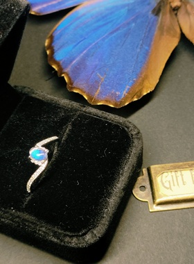 大蓝闪蝶真蝴蝶标本镀银戒指耳钉精致ins设计生日礼物送女友