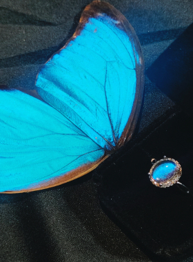 大蓝闪蝶戒指轻奢复古银活口