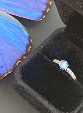 大蓝闪蝶真蝴蝶标本镀银戒指大戒面精致ins设计生日礼物送女友