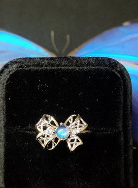 大蓝闪蝶真蝴蝶标本镀银戒指耳钉精致ins设计生日礼物送女友