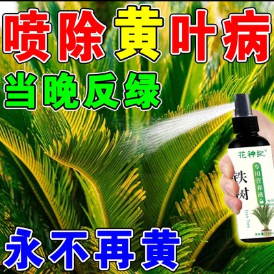 铁树专用肥硫酸亚铁肥铁树叶子发黄专用营养液喜酸植物通用烂根药