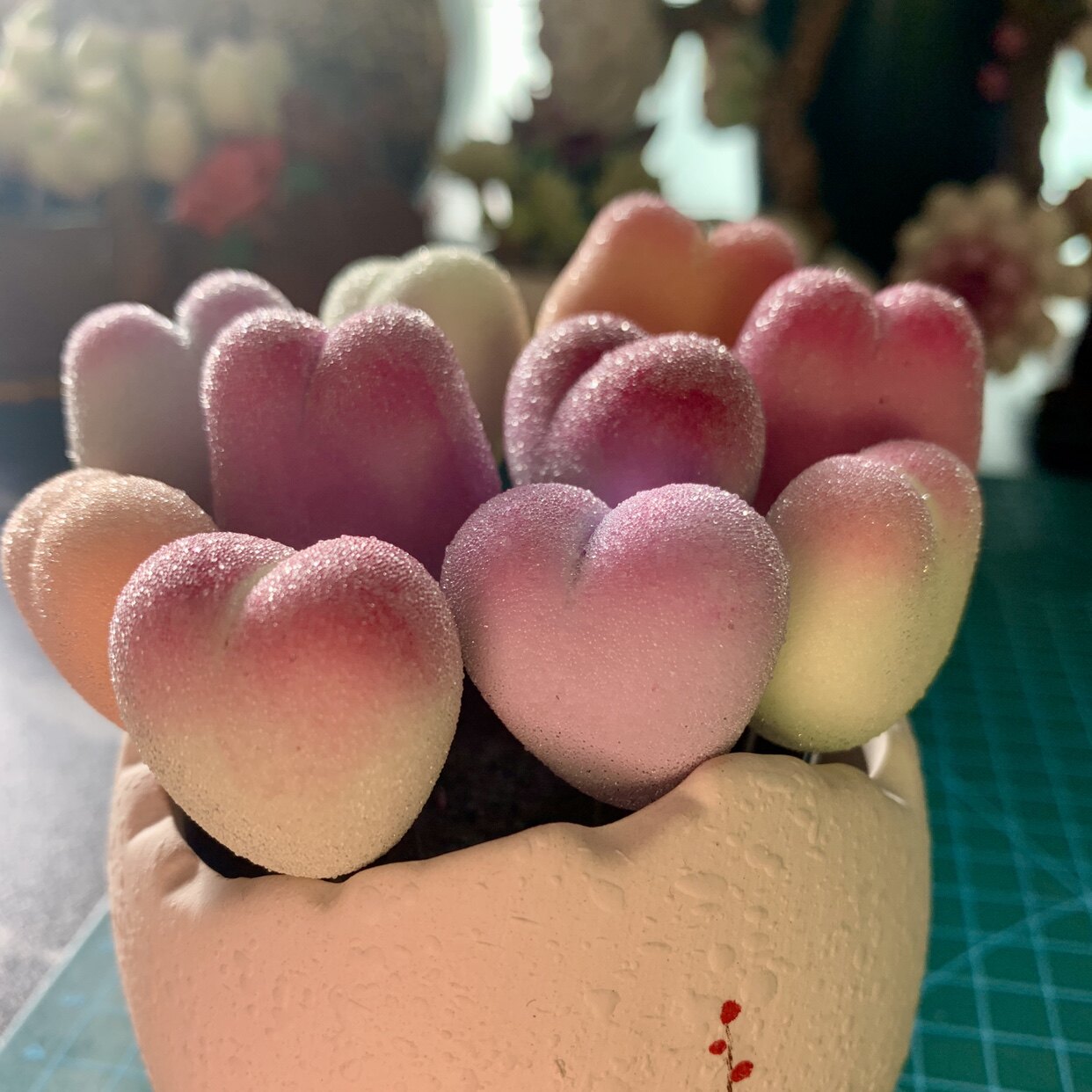 黏土多肉毛汉尼兔子碧光环生日礼