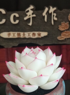 Cc原创树脂黏土仿真多肉永生仙气边线女王白麦秆盆栽办公室桌面摆