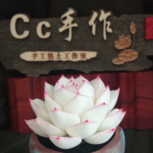 Cc原创树脂黏土仿真多肉永生仙气边线女王白麦秆盆栽办公室桌面摆