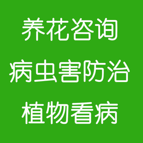植物看病诊断病虫害防治绿植养护咨询花园艺修剪移栽西安上门服务