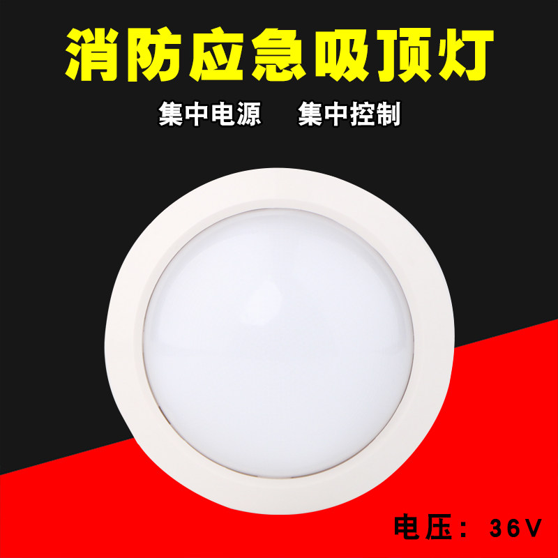 泰和安应急照明吸顶灯图片