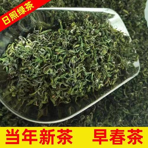 日照绿茶2026新茶春茶山东散装茶叶正宗板栗香豆香大田茶500g特级