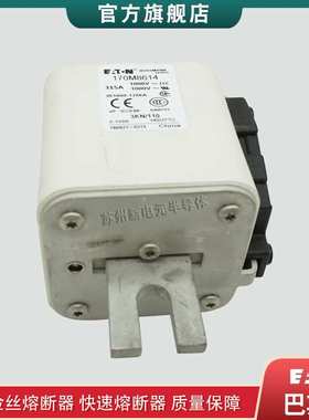 170M8614 8615 8616 8617 8618 巴斯曼bussmann快速熔断器保险丝