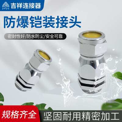 防爆铠装电缆密封接头一内一外铠装格兰头NPT1/2不锈钢316L填料函