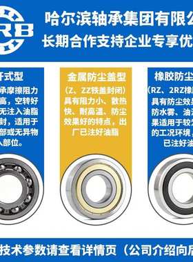 HRB 哈尔滨轴承 6032 6034 6036 6038 6040 6044 6048 -ZZ 2RZ