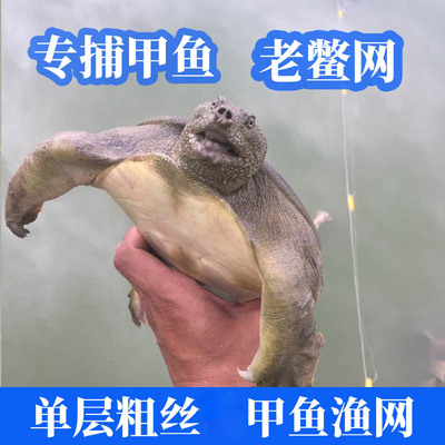 黄丝甲鱼网野外专用100米