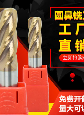 55度钨钢铣刀4刃圆鼻刀钢用涂层刀加长牛鼻刀合金R角刀1R0.2-16mm