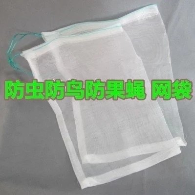丝瓜防鸟果树苍蝇西红柿尼龙网蒲瓜露天种植苦瓜套袋专用袋防虫在类目 鲜花速递/花卉仿真/绿植园艺, 园艺用品, 其它园艺用品中 - 来自Buy2taobao.com提供专业的淘宝代购服务
