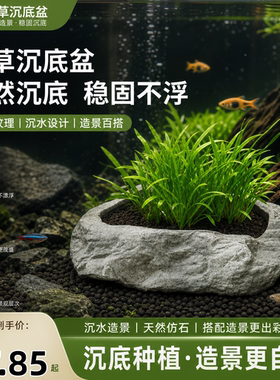 水草沉底盆仿石头铜钱草水培花陶瓷客厅家用水养绿植盆缸桌面中式