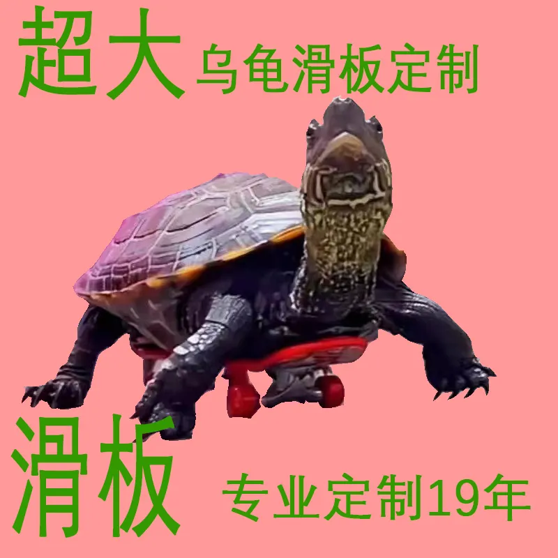 乌龟滑板大号手指滑板车14CM板指尖舞极限运动玩具塑料桌面小玩具