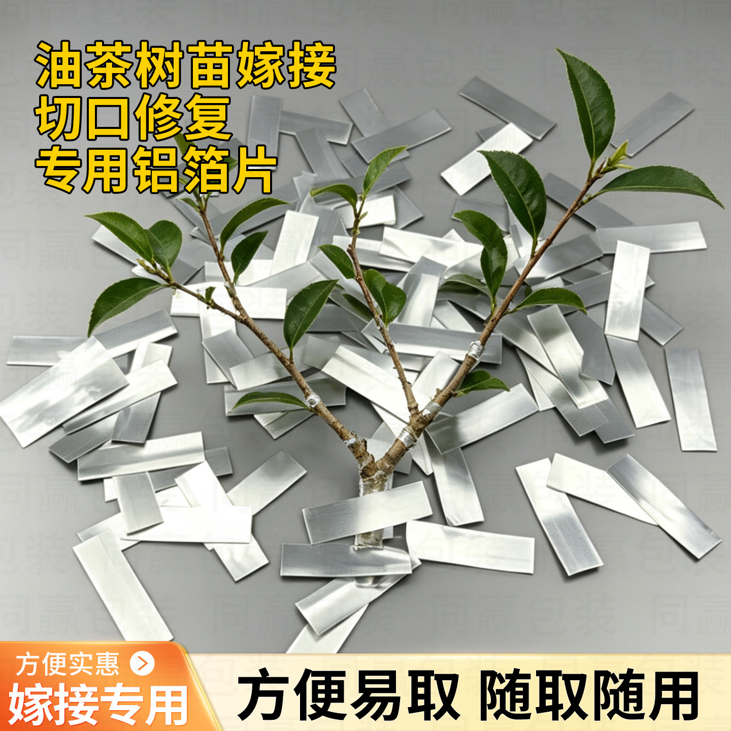 油茶树锡纸铝箔切片果树嫁接膜树木嫁接保湿隔热促进树苗切口生长