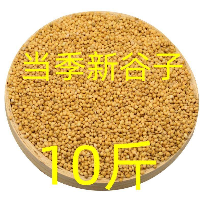 新谷子虎皮牡丹玄凤中小型鹦鹉专鸟食