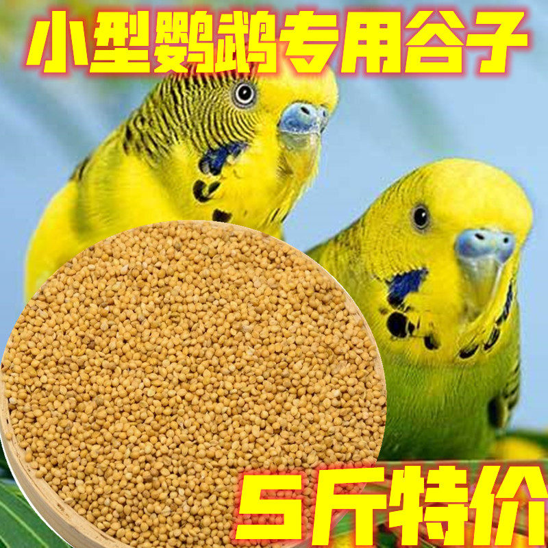好鸣声鹦鹉粮产地直销
