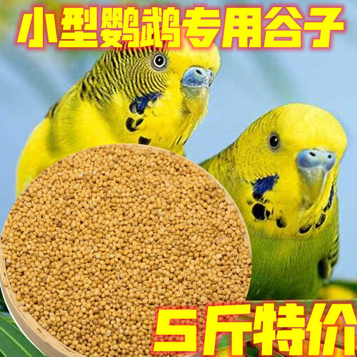 好鸣声鹦鹉粮产地直销