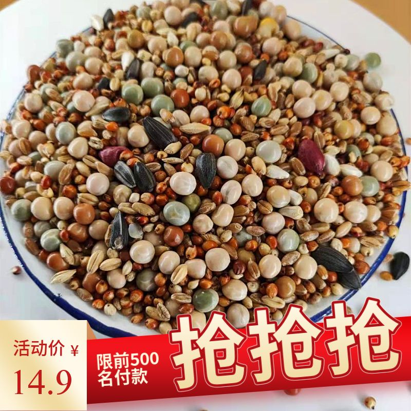 鸽子粮粮食营养饲料信鸽幼鸽
