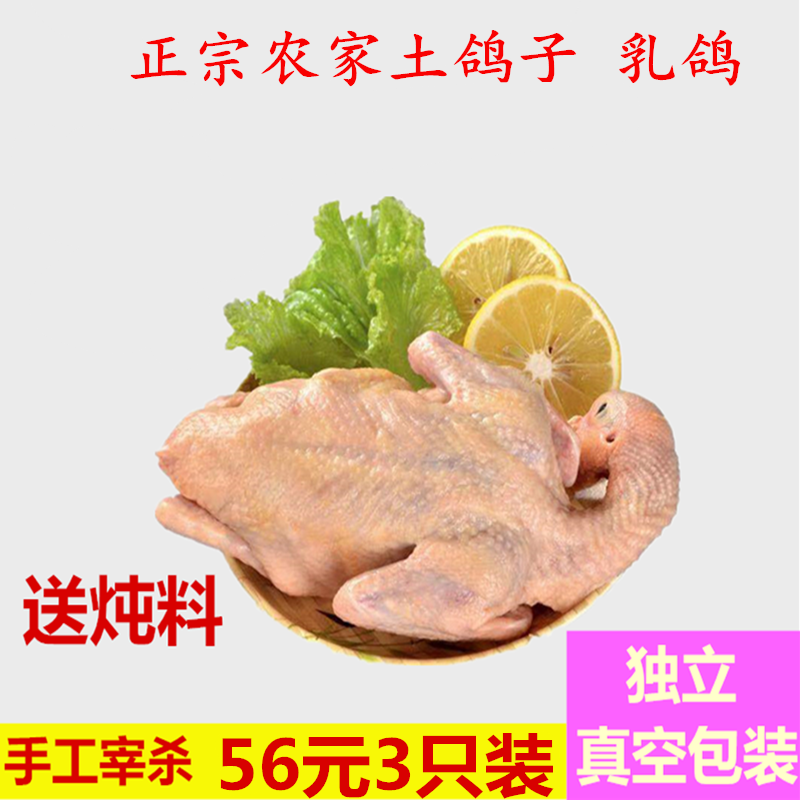 Farm Backyard dove fresh Fresh milk Pigeon meat dove Reflect vacuum packing Freeze Ship 3in the Aquatic meat/Fresh fruits and vegetables/Cooked , Raw meat/Meat , Pigeons , Pigeon  category - from Buy2taobao.com to provide professional Taobao agent buy service