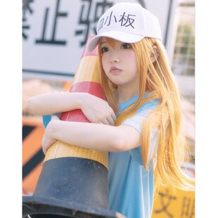 工作细胞周边COS帽子血小板 白血球 杀手T细胞周边鸭舌帽白色棒球