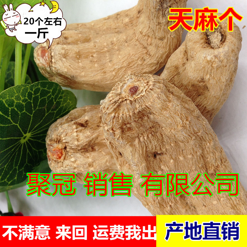 云南昭通 天麻野生 无硫磺 天麻个 干天麻冬麻 明天麻  500g包邮