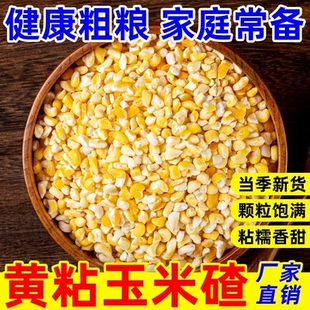 东北黄粘玉米碴子地道老品种当季新玉米现磨糯玉米碴子营养好粗粮
