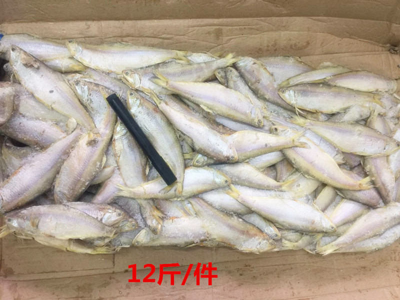 烧烤新鲜速冻黄鲫鱼毛扣鱼响鱼8.5斤/箱耗儿鱼江浙沪皖包邮图片