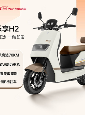 【门店自提】立马H2电动车长续航电动摩托踏板车电瓶车高速电动车