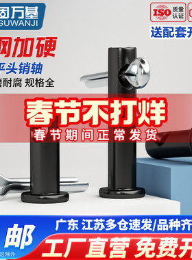 GB882铁黑色带孔销轴平头圆柱销销钉插销定位销M4M5M6M8M10M12M30