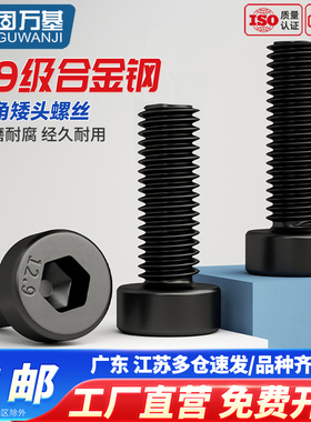 12.9级薄头内六角螺丝DIN7984螺钉高强度矮头扁头螺栓M4M5M6M8M10