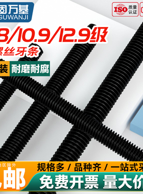 8.8/10.9/12.9级高强度丝杆全螺纹牙条DIN975通杆全牙螺杆M6-M48