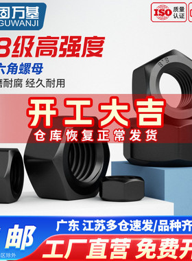8.8级发黑细牙六角螺母 螺帽螺丝帽幼牙螺帽M8M10M12M18M20*1.5