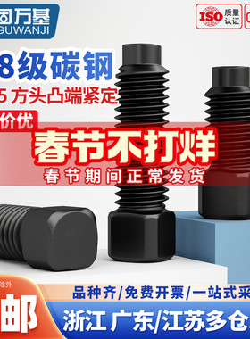 4.8级方头顶丝凸端紧定螺丝发黑碳钢刀架无头机米螺钉M6M8M10M20