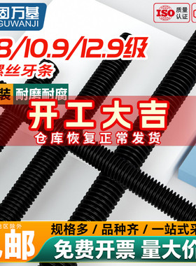 8.8/10.9/12.9级高强度丝杆全螺纹牙条DIN975通杆全牙螺杆M6-M48