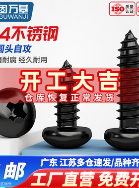 黑色304不锈钢圆头自攻螺丝螺钉盘头十字加长木螺丝钉M3M3.5M4M5