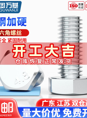 4.8级镀锌外六角螺丝钉外六角螺栓大全铁白锌螺钉国标M5M6M8-M12