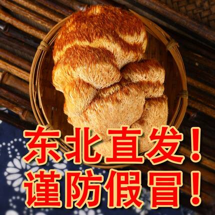 猴头菇干货特级半野生新鲜长白山猴头菇东北新货养胃粉官方旗舰店