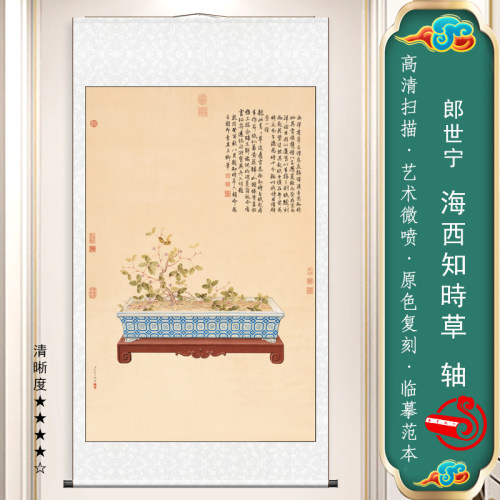 含羞草国画植物书房挂画卷轴画