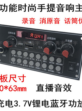 CYA6多功能K歌蓝牙解码功放5V充电广场舞音响板 3.7V锂电混响音效