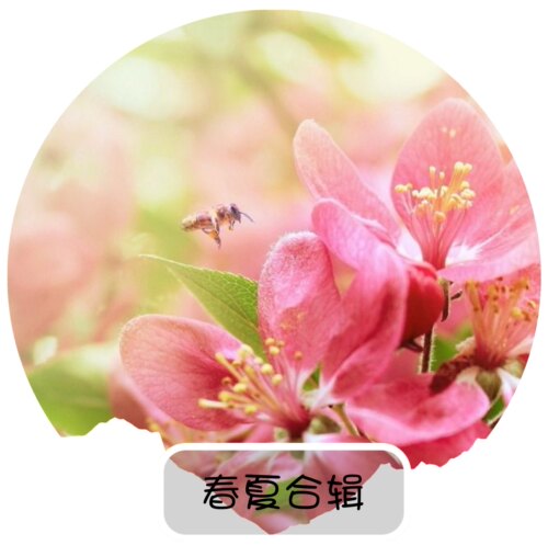 春夏合集香水清新干净