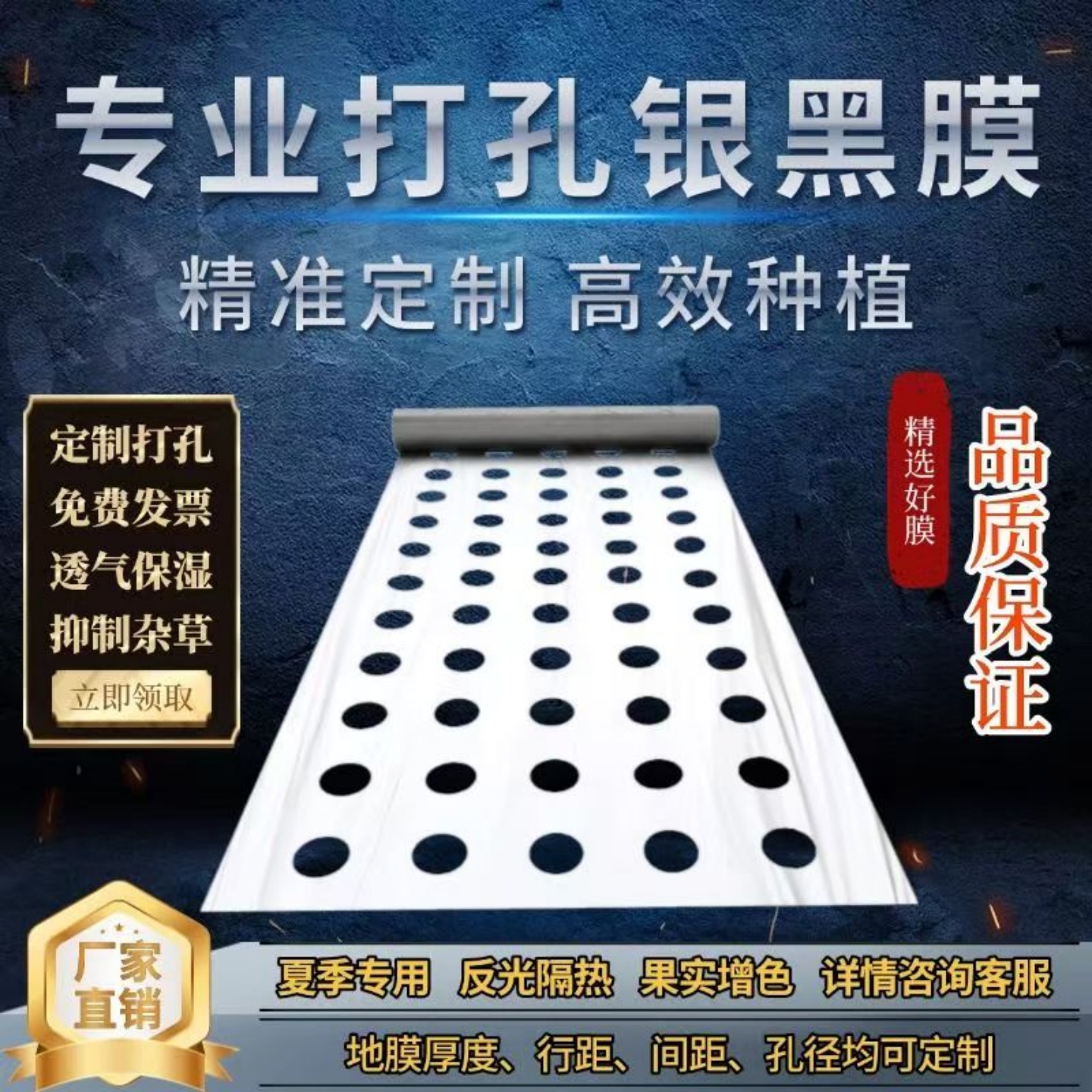 打孔银黑双色膜农用辣椒番茄小葱
