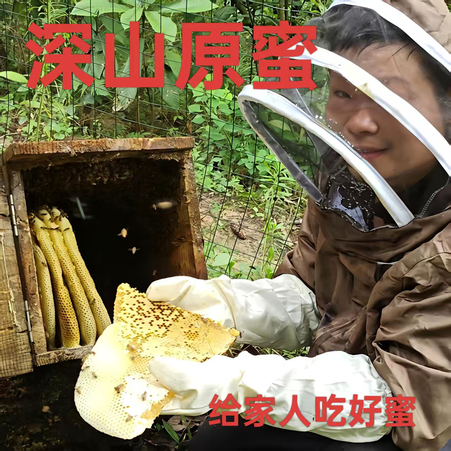 纯天然野生土蜂蜜农家自销贵州深山正品木桶原蜜百花蜜正宗成熟蜜
