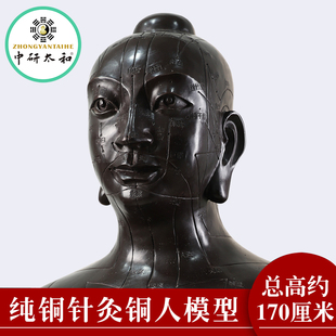 仿古纯铜针灸铜人模型人体经络穴位铜人高170厘米针灸铜像MD0001