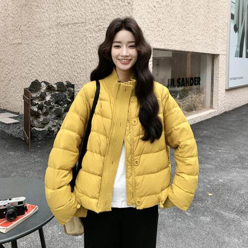 系针暖织ZR2B141接立领排骨韩羽绒服女冬季新款好看洋气拼加厚保